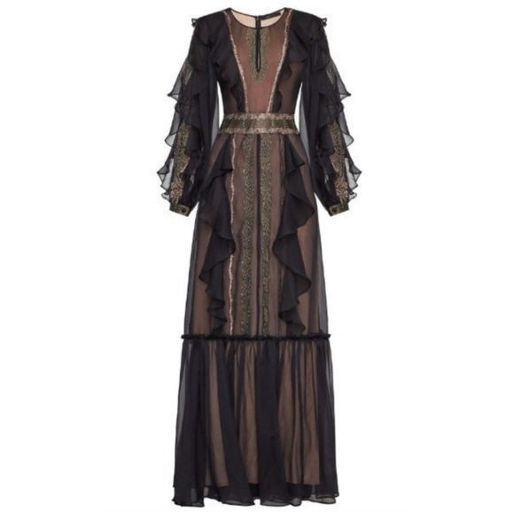 ποΈβ¬οΈπHOST PICKπ BCBGMaxAzria Chiffon Embroidered Ruffle Maxi Dress - Picture 9 of 9